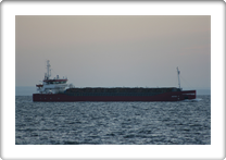MEREL V      9279056
